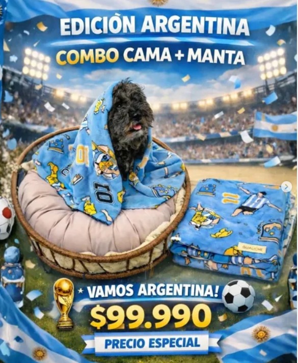 Disol 1 Cama para Macotas + Manta Mundial